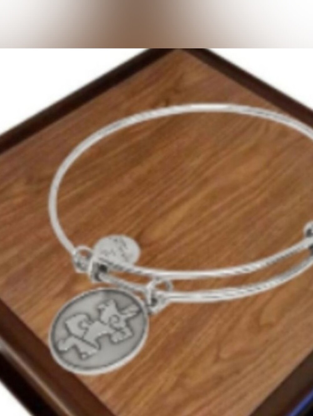 Alex and Ani Silver Tone Bracelet NWOT